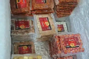 Dimsum Mbledos Frozen