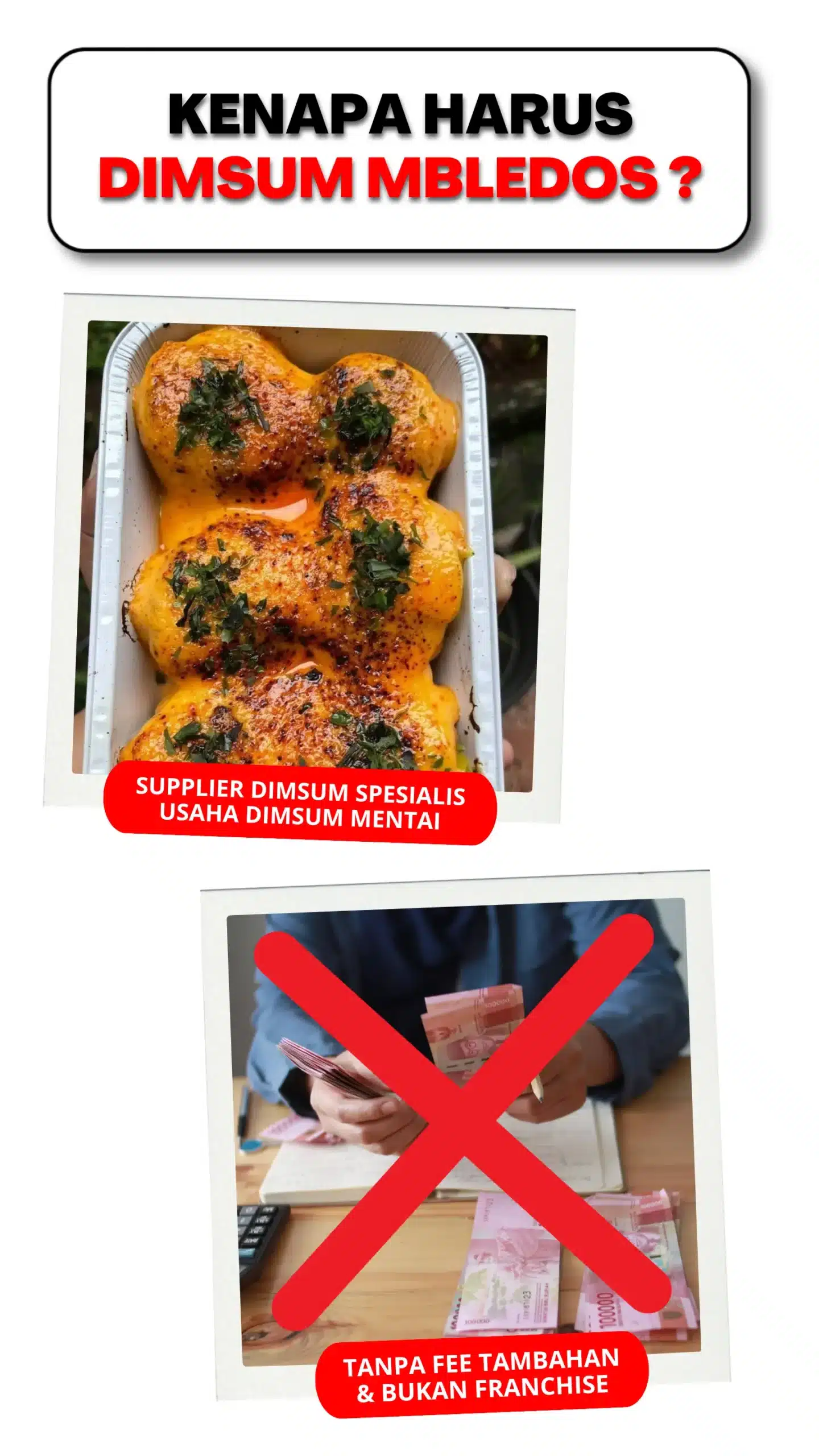kenapa dimsum mbledos produsen dimsum mentai terbaik